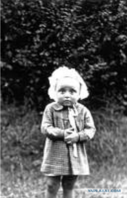 Не забывайте люди об этих зверях, никогда