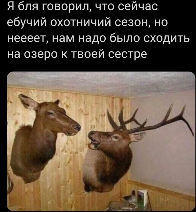 Картинки для настроения с надписями и без