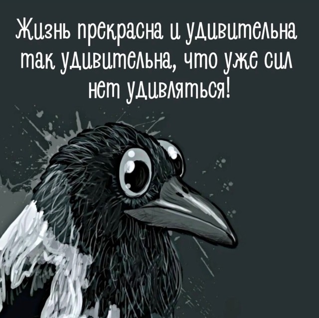Так себе картинки 24.04.22