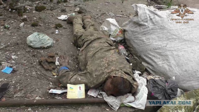 Зреет раскол в ВСУ между бойцами и националистами-командирами