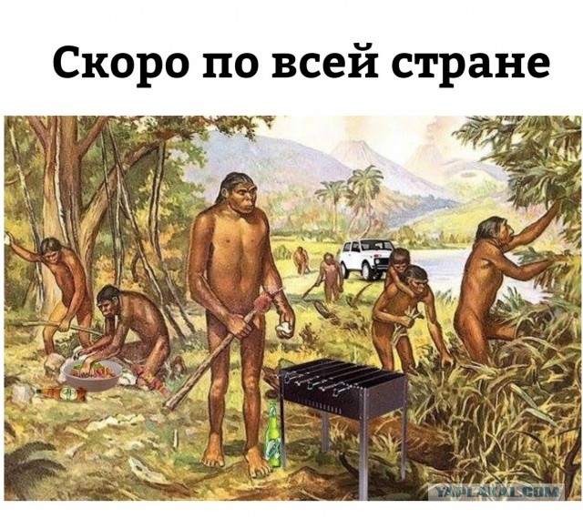Избавились от свиноты у реки
