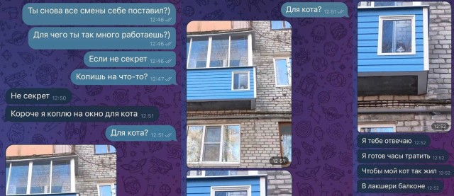 Скриншоты и комментарии из социальных сетей 23.08.22