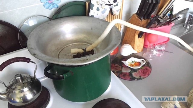 Гнали, гоним, будем гнать!