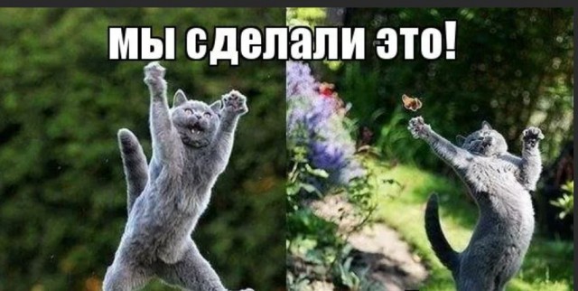 Победная поступь идиотизма по планете – том 4
