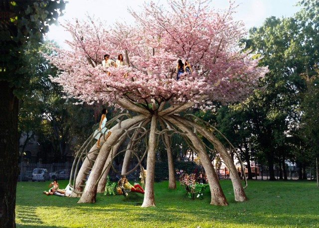 Красивые и необычные картинки