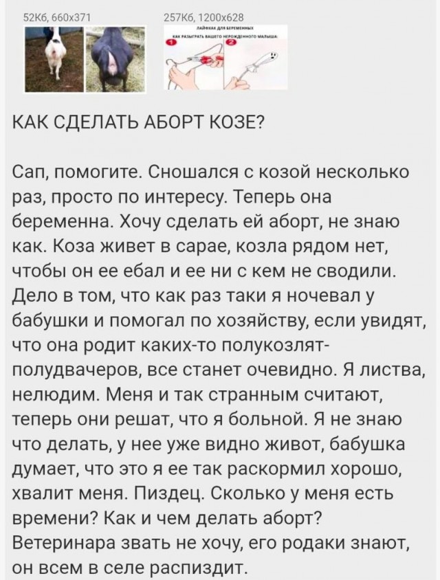 Скриншоты и комментарии из социальных сетей 20.06.23