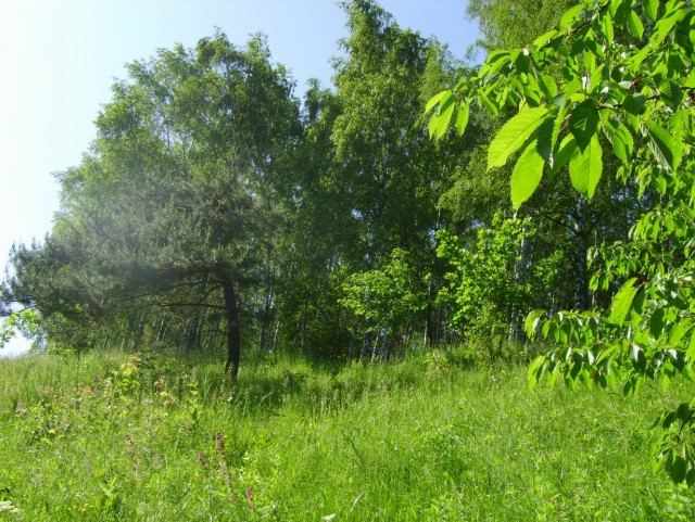 Сплав. Южный Буг.