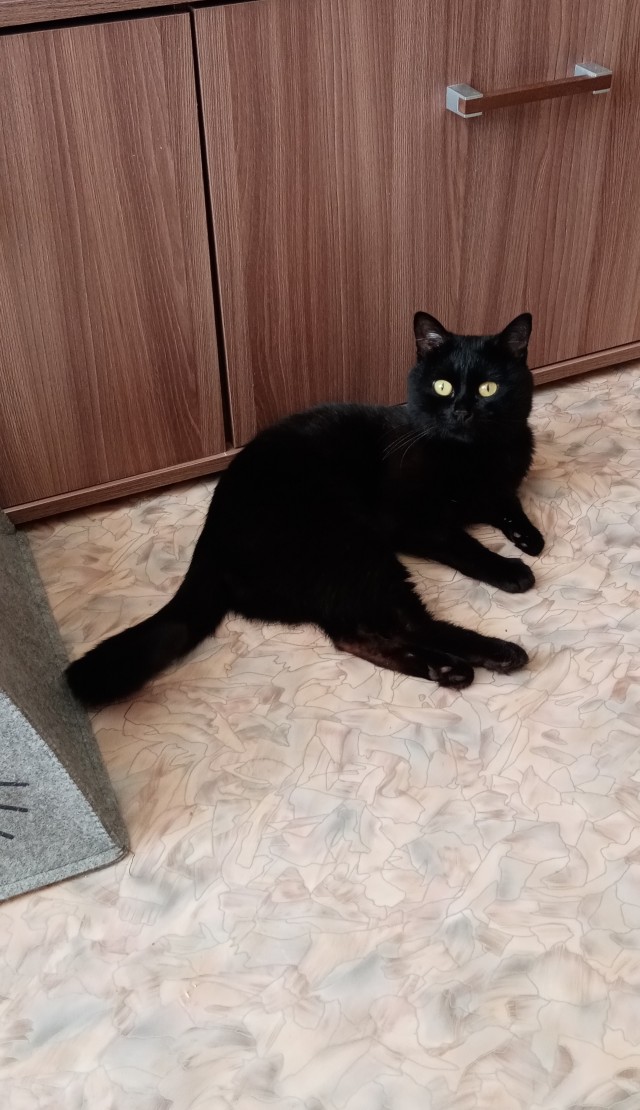 Ну вот и я стал рабом.