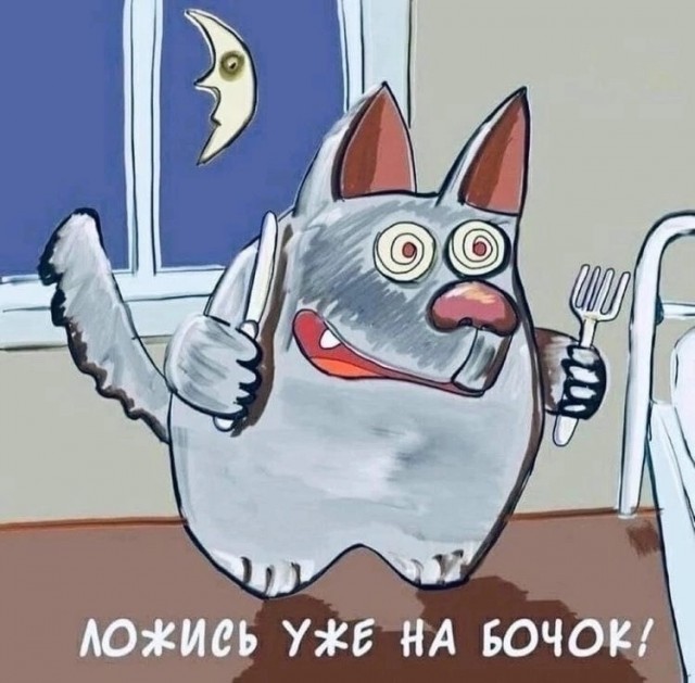 Весёлый полтишок 11.08.23