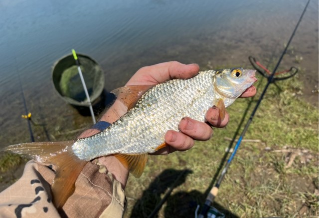 Рыбалка на Азовском море