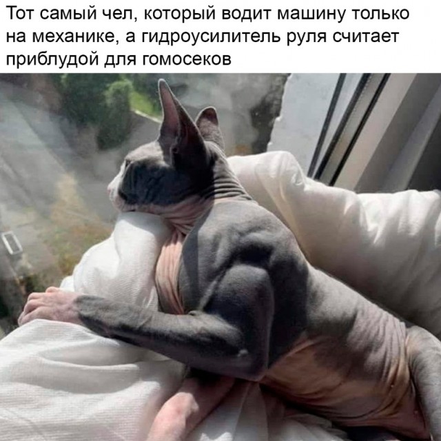 Весёлый полтишок 10.10.23