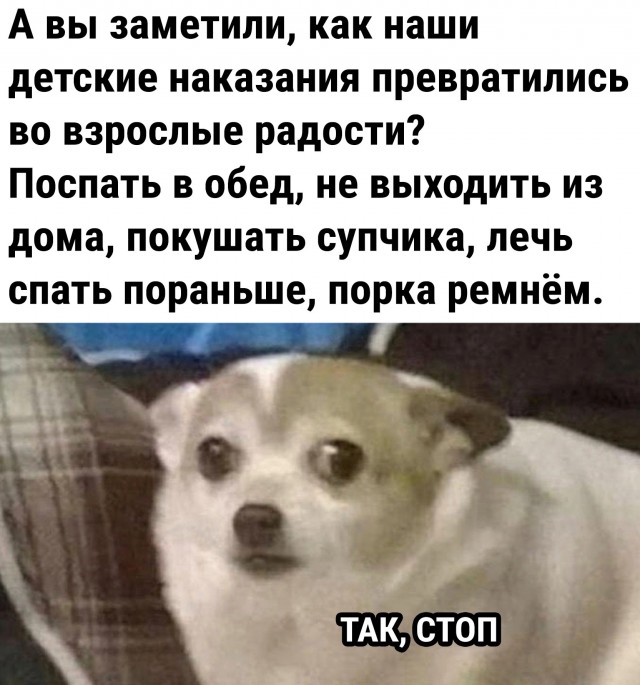 Шойгу, Герасимов, где баяны?