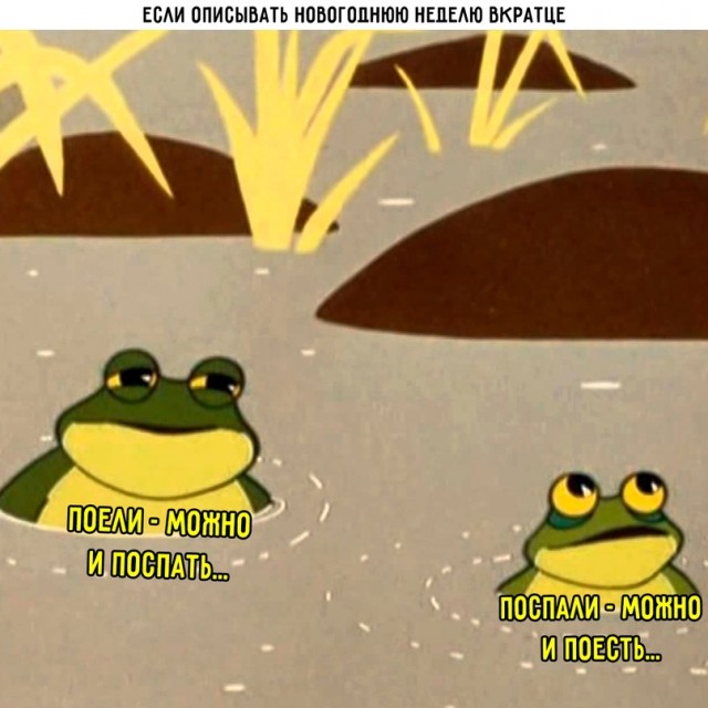 Весёлый полтишок 05.01.24