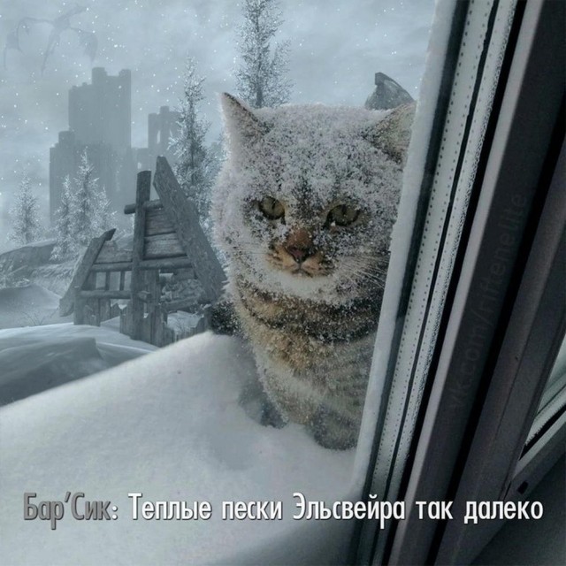 Всего понемногу. От 15.01.2024