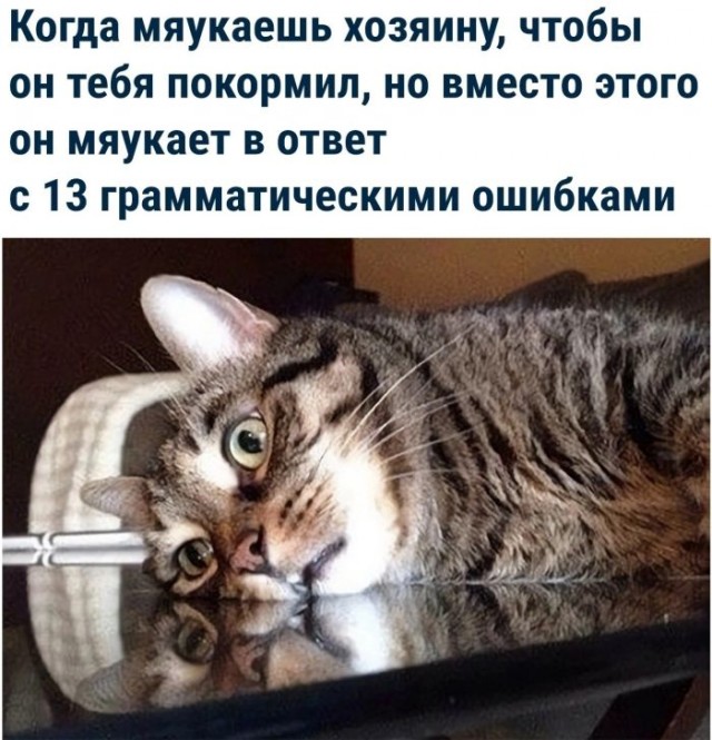 Тлидцать тли от 20 февлаля