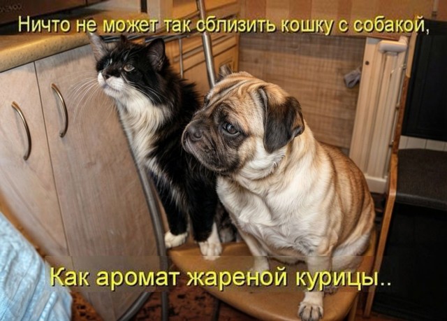 Так себе картинки 29.04.24