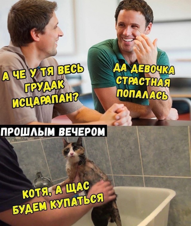 Всего понемногу. От 07.04.2024