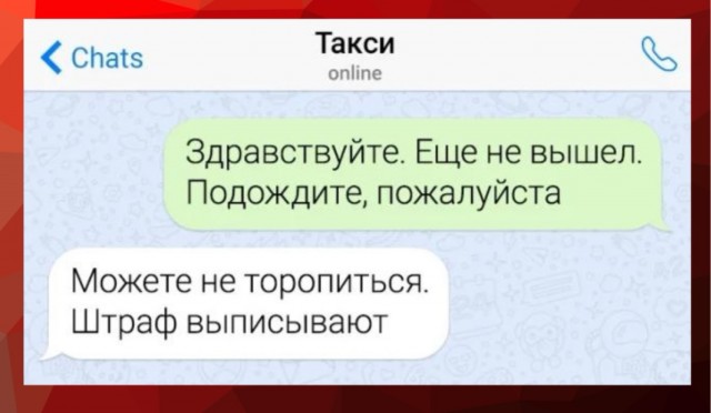 Весёлый полтишок 13.05 24