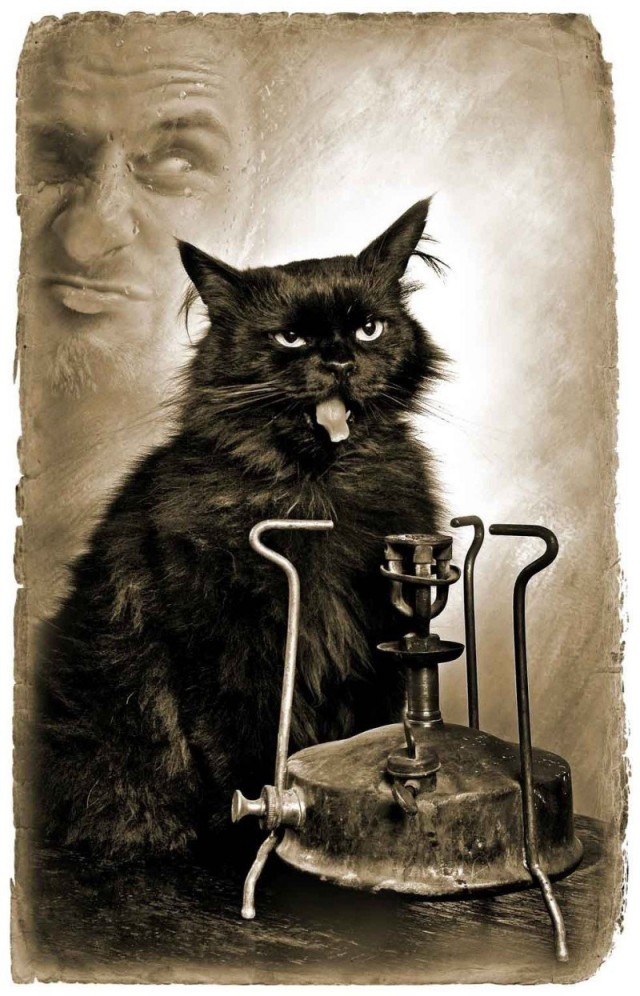 Откуда взялся кот с лампой?