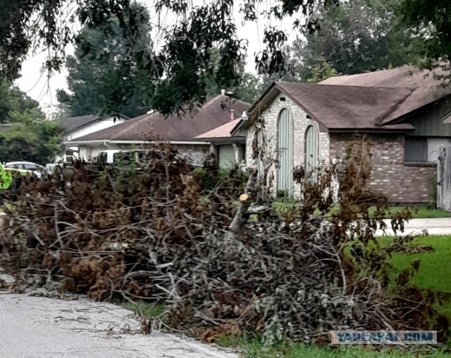 Конкурс «Космические грибы». Итоги