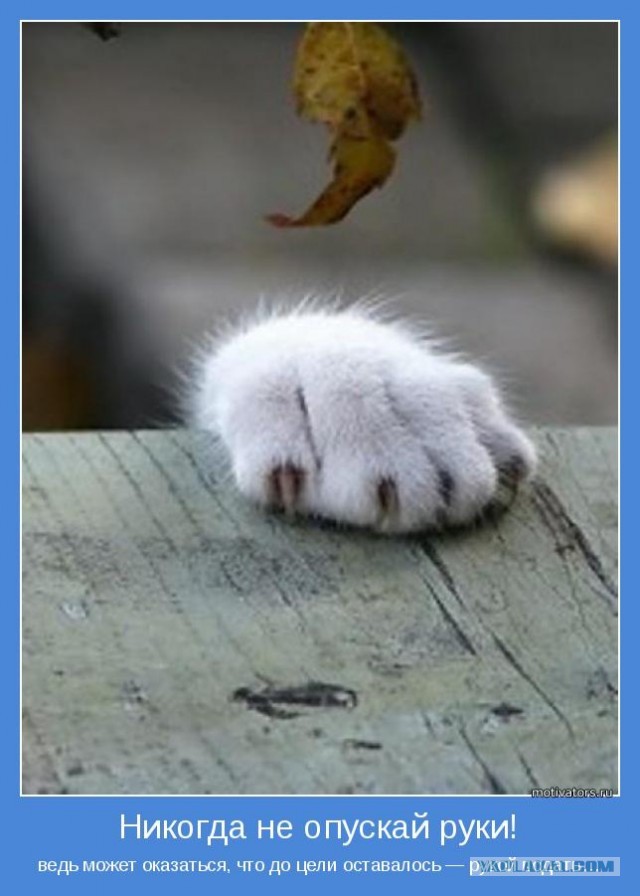 Больше позитива, друзья!