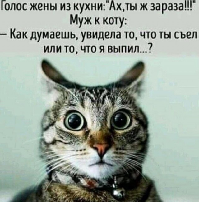 Картинки на 	субботний день