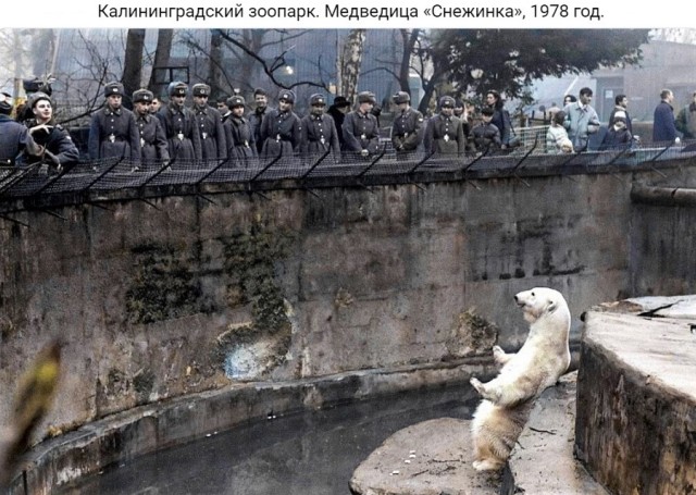 ​ Фотографии из прошлого нашей страны – 96