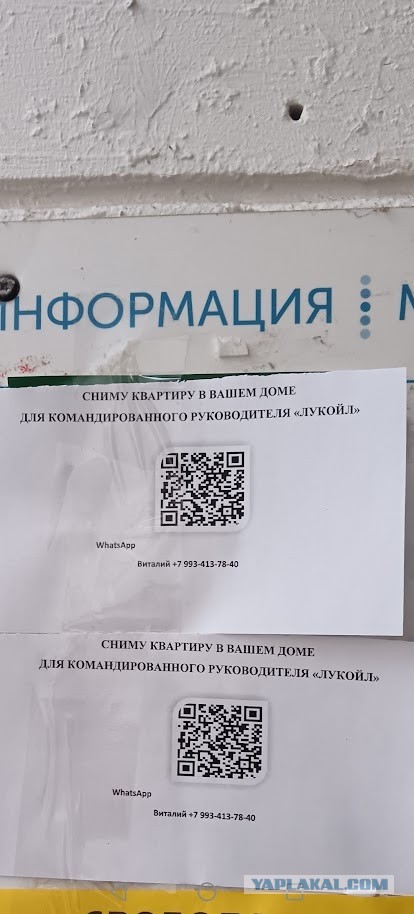 руководитель лукойла снимет жилье