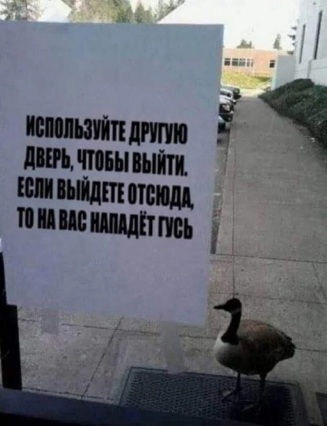 Завалялось тут случайно немного забавных картинок