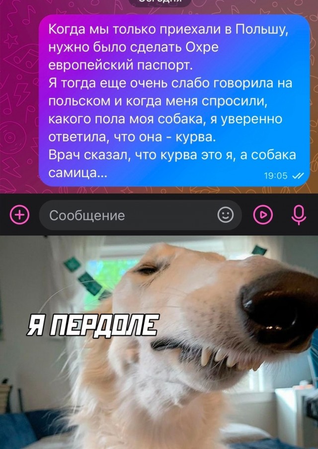 Так себе картинки 12.05.25