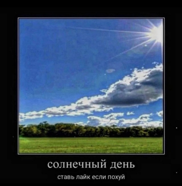 Сова на отдыхе