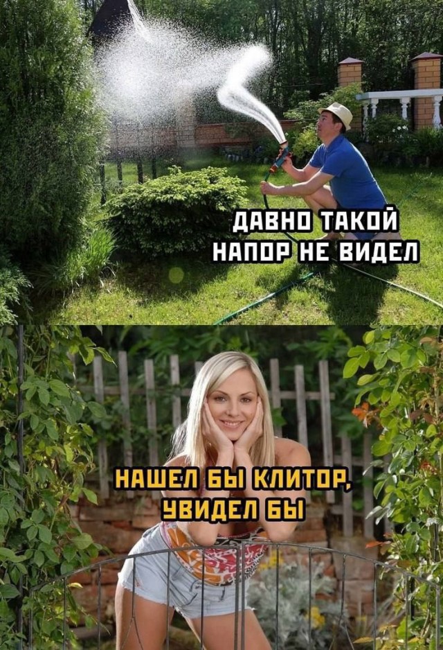 Забавные и не очень скромные картинки - 6