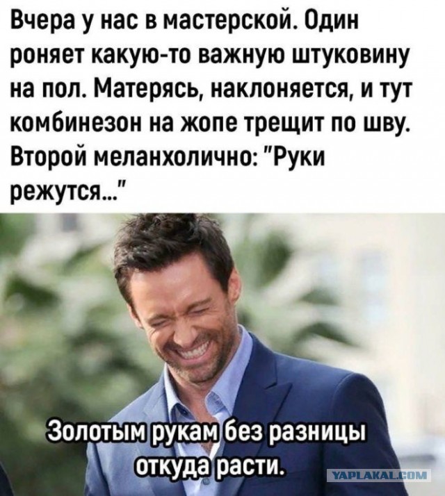 Веселые картинки в пятницу (15.08)