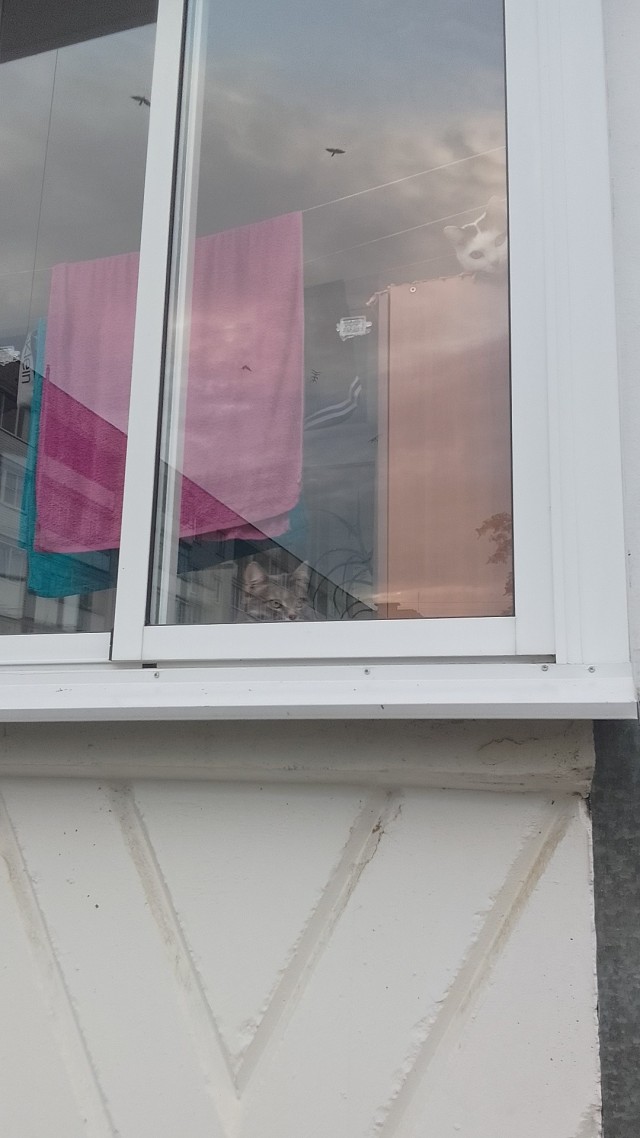 Вас снимают видеокамеры