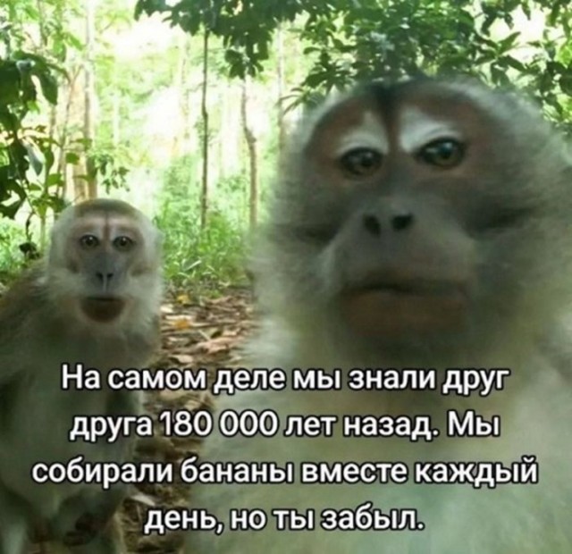 Картинки для деградации 25 (разной степени свежести)