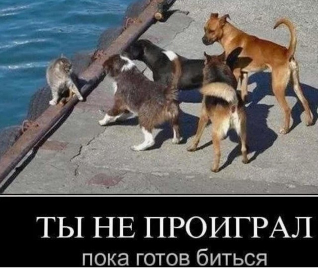 Вредный дед