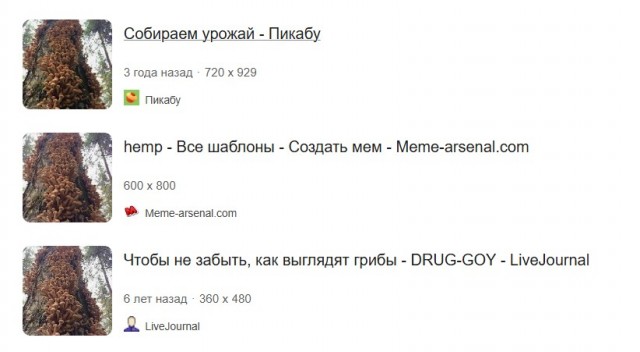 Ходили брить деревья
