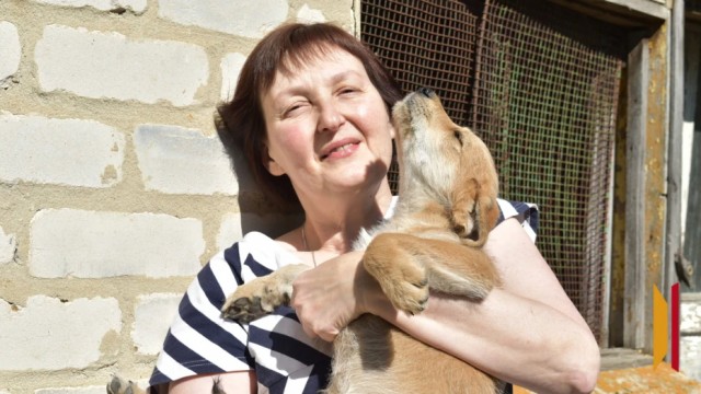 «Смотрела в глаза и словно умоляла о помощи». Как жительница Воронежской области спасла 14 щенков бродячей собаки