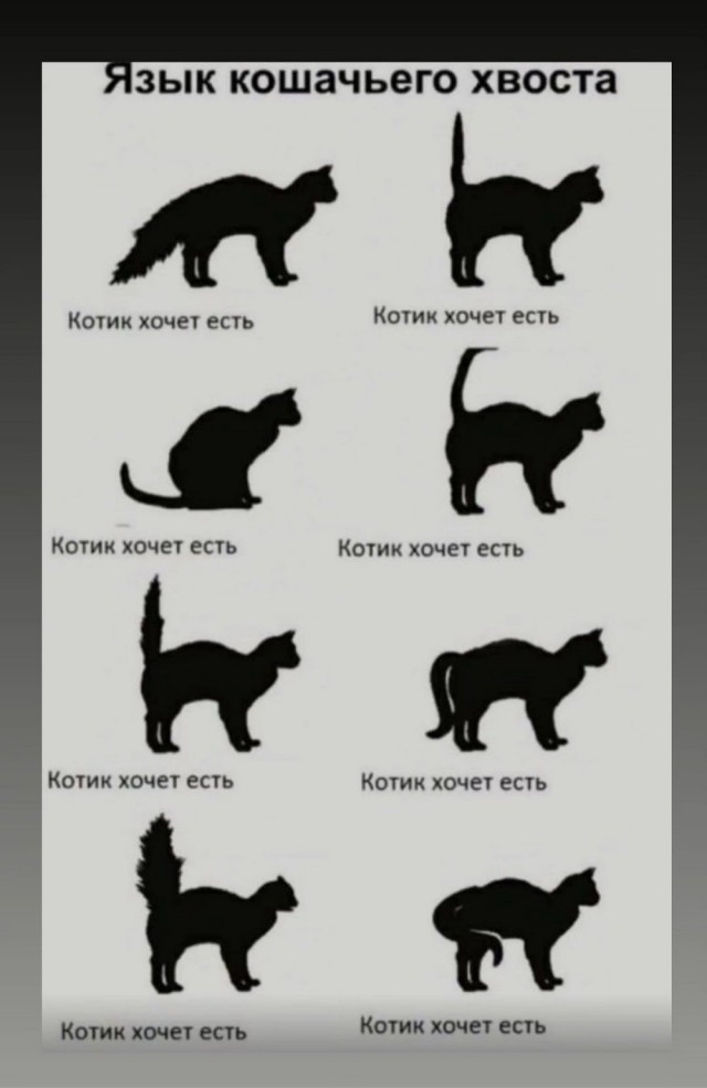 Картинки маленькой пятницы