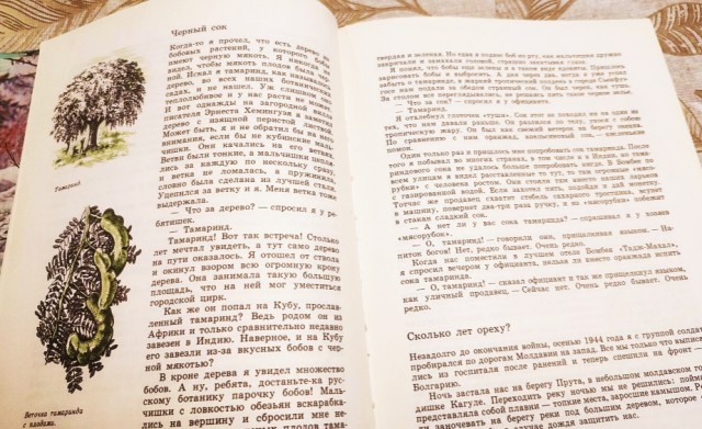 Реквием по мечте.