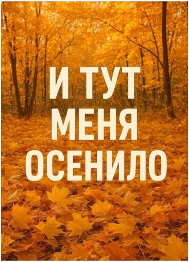 Так себе картинки 14.11.25