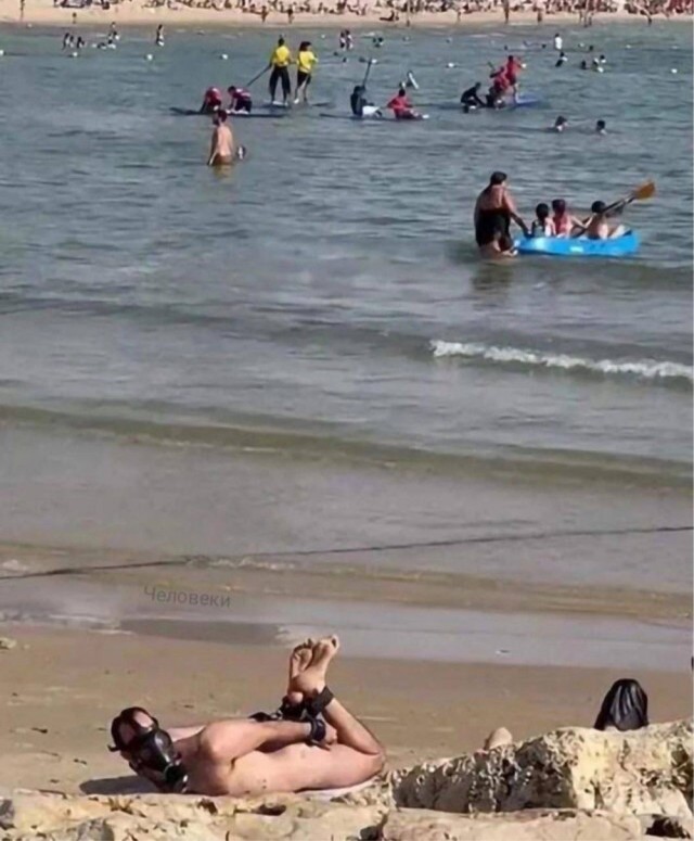 Доли... (ну почти)