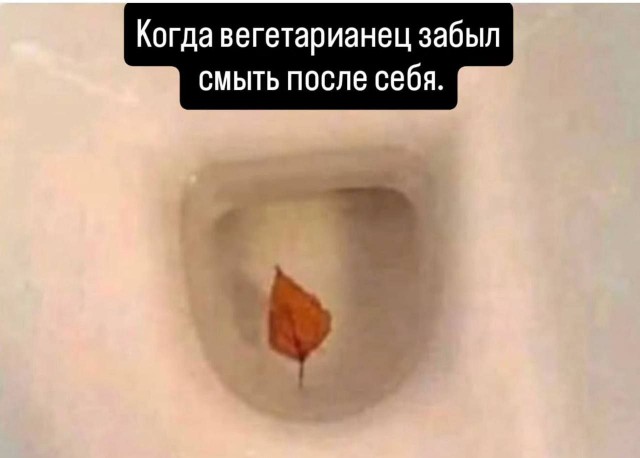 Картинки для деградации 116 (разной степени свежести)