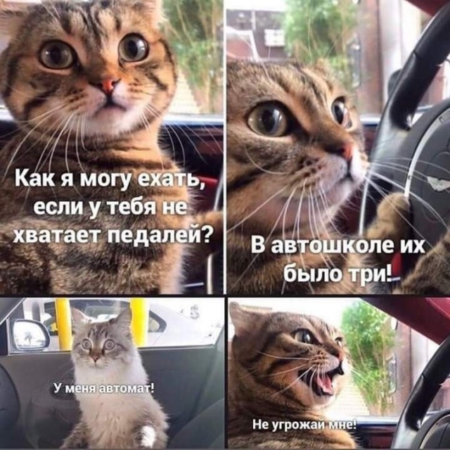 Когда пересел с автомата