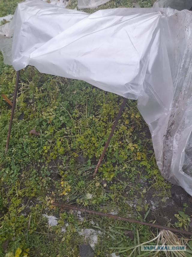 Не дать растаять Снегурчке. Нужна помощь всесильного Япа.