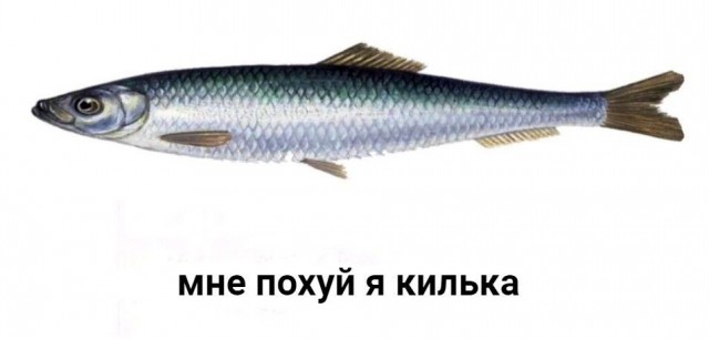 Сбросил клеймо⁠