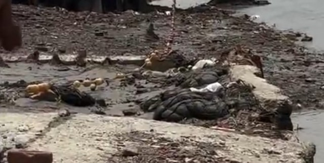 Немного Индии