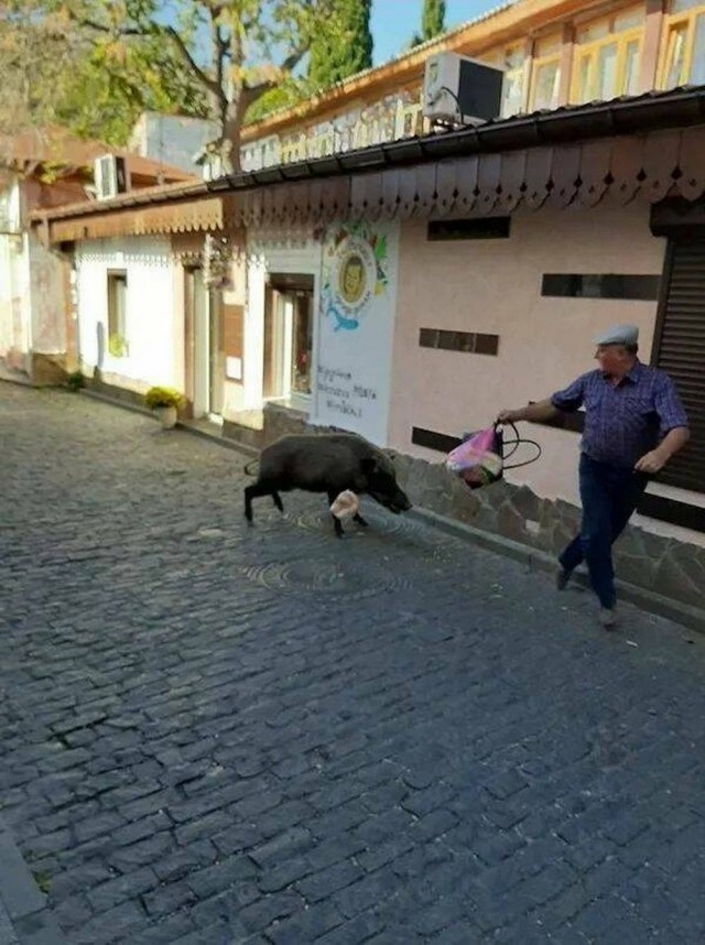 Прикольные и просто красивые картинки 15.05.2026