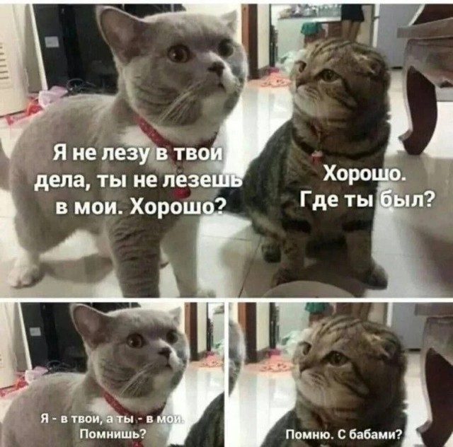 Бильдер(нем.)