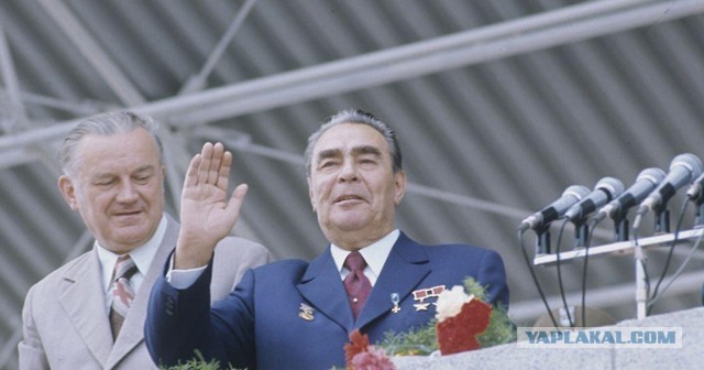 На чемпионате мира по футболу замечена реинкарнация Ленина